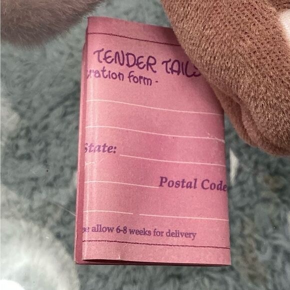 Precious Moments Tender Tails 1999 Squirrel #476099 Beanie Plush Animal Tags - Picture 5 of 8